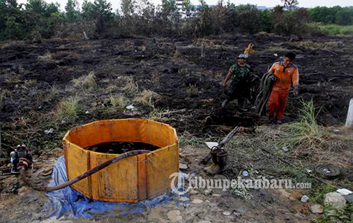 Hukum Korporasi Pembalak Hutan Bayar Rp 16 Triliun Kepada Negara