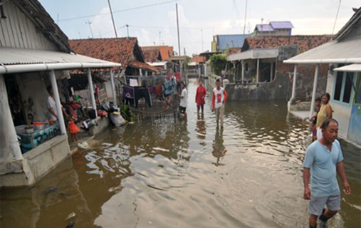 Banjir Rob Rendam Sejumlah Rumah Di Dumai