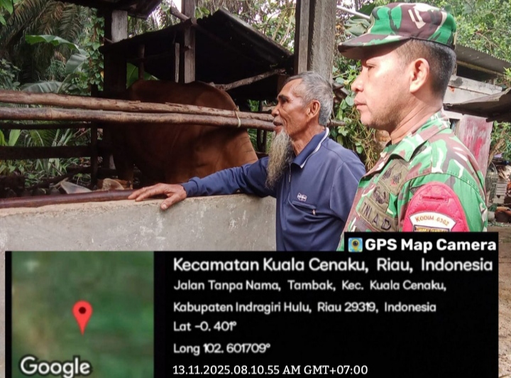 Yakinkan Ternak Tetap Sehat Babinsa Cek kebersihan kandang dan Kesehatan Hewan Milik Ternak Warga