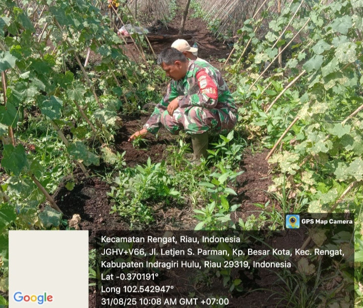 Menjalin Silaturahmi Serta membantu Masyarakat Petani Sayur Gambas Babinsa Tetap Menjaga keakraban .