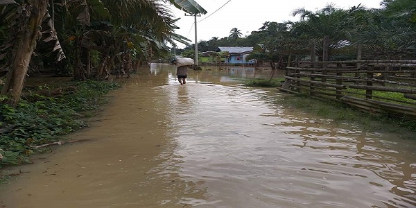 Meluapnya Sungai Indragiri, Membuat Rumah Warga Desa Satako Raya Terendam Banjir