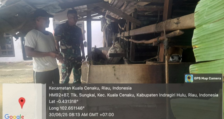 Babinsa koramil 01 Rengat ingatkan Agar Warga Desa Binaan Waspada Akan Penyakit PMK.