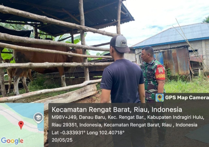 Antisipasi PMK Babinsa Koramil 01/Rengat Melaksanakan Sosialisasi Penyakit PMK Kepda Masyarakatnya