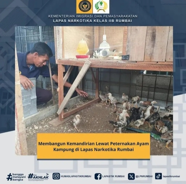 Membangun Kemandirian Lewat Peternakan Ayam Kampung di Lapas Narkotika Rumbai