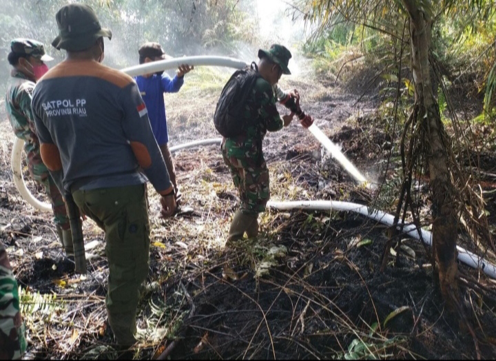 Cuaca Mulai Masuk Musim Kemarau Kebakaran Hutan Dibeberapa Desa Bermunculan