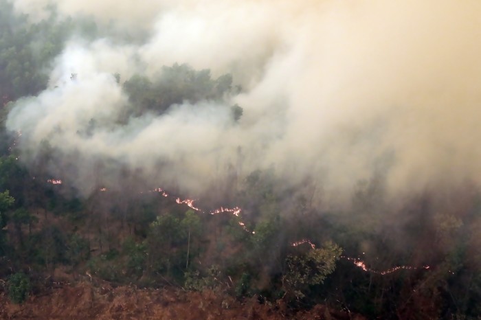 TNI AD Temukan 3 Teknologi Pencegah Kebakaran Hutan