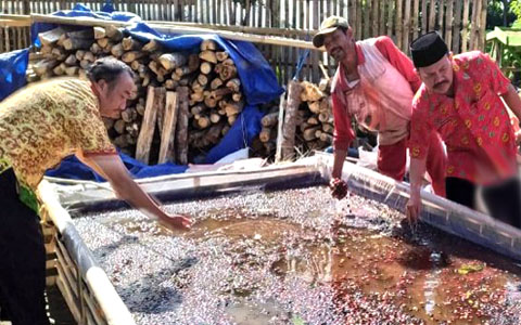 Kopi Sindang Dataran Tembus Pasar Prancis