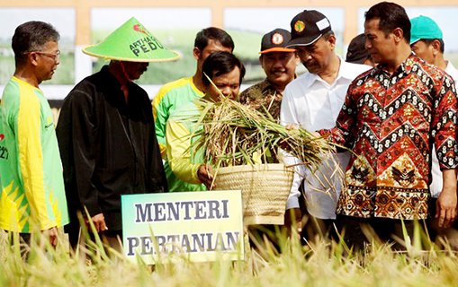 Kementan : Sampai Mei 2017 Aman