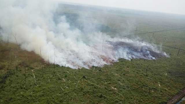 Hutan di Riau Terbakar Lagi, Hotspot Meningkat Lagi