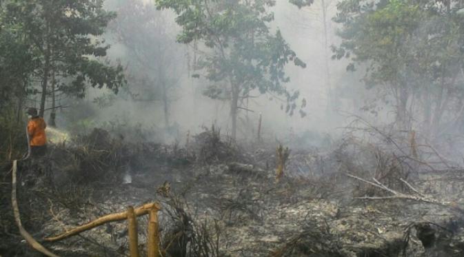 Polri Bentuk Tim Dalami SP3 15 Perusahan Pembakar Hutan