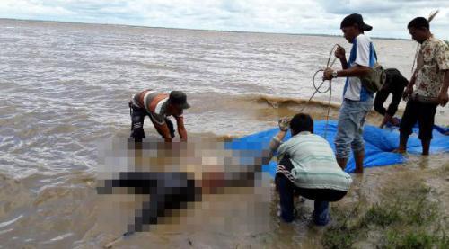 Tubuh Membusuk, Diduga Korban Speeboat yang Dihantam Bono