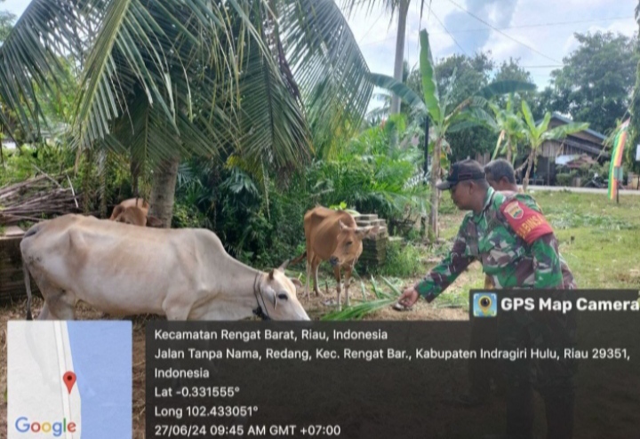 Virus Apthovirus Yakni Virus Menyerang Hewan Ternak Sapi, Kerbau Dan Kambing.