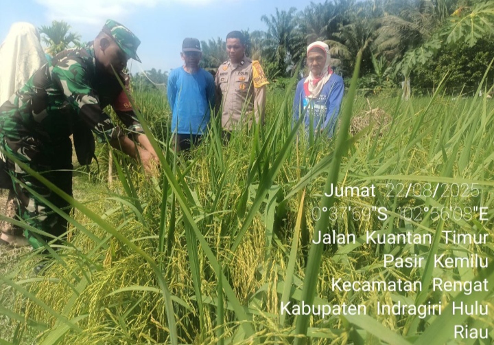 Kunjungan Ke Poktan Sekar Wangi Babinsa, PPL dan Bhabinkamtibmas Bahas Persoalan Petani