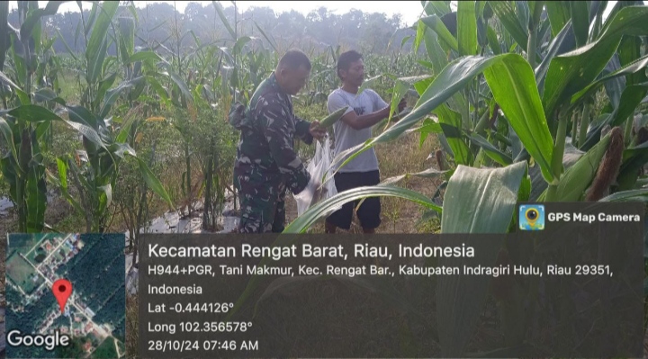 Selalu Luangkan Waktu Dan Siap Bagi Masyarakat Desa Binaan Pada Panen Jagung