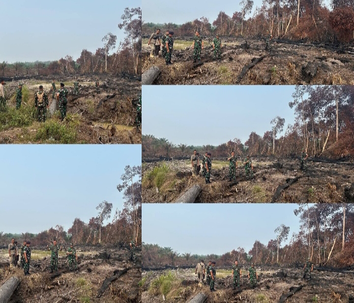 Cegah Karhutla Berulang, Tim Mabes TNI Tinjau Lokasi Pascakebakaran di Rakit Kulim