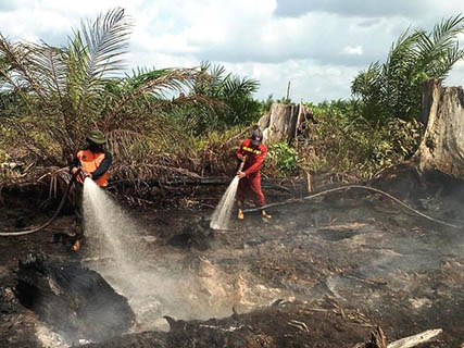 Karhutla, Penambahan Pasukan Segera Dilakukan