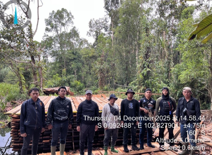 Wow.. Bermula Video , Polres Inhu Dan Tim Gabungan Temukan Ratusan Kubik Kayu Diperbatasan 3 Kabupaten