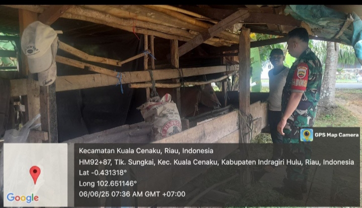 Tidak Hanya Idul Adha Kedepanya Juga Babinsa koramil 01 Rengat ingatkan warga Desa Binaan Waspada PMK.