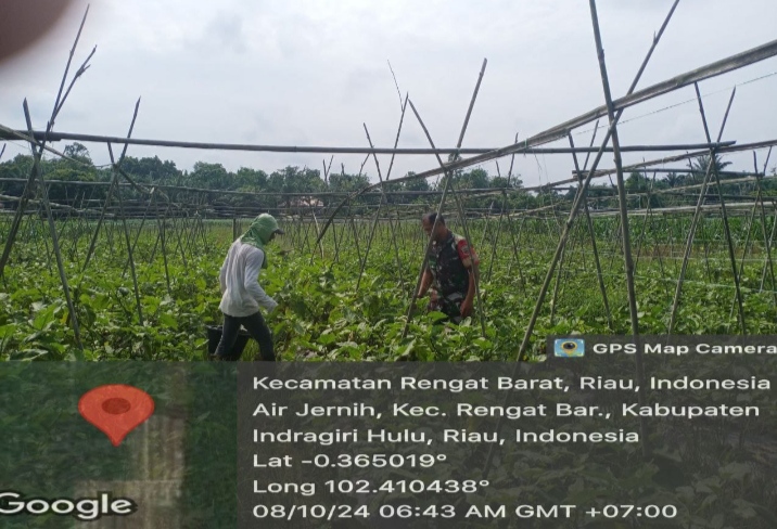 Babinsa Koramil 01/Rengat Melaksanakan Kegiatan Komsos Dengan Petani Warga Binaannya