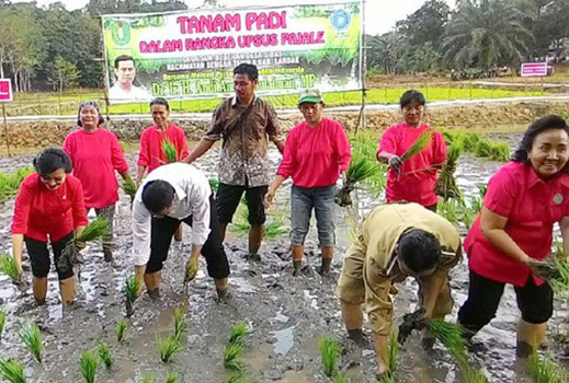 Mentan Amran Ingin Kalimantan Mandiri Pangan