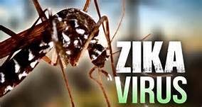 WNI Terjangkit Virus Zika, Kemenkes RI Segera Hubungi Kemenkes Singapura