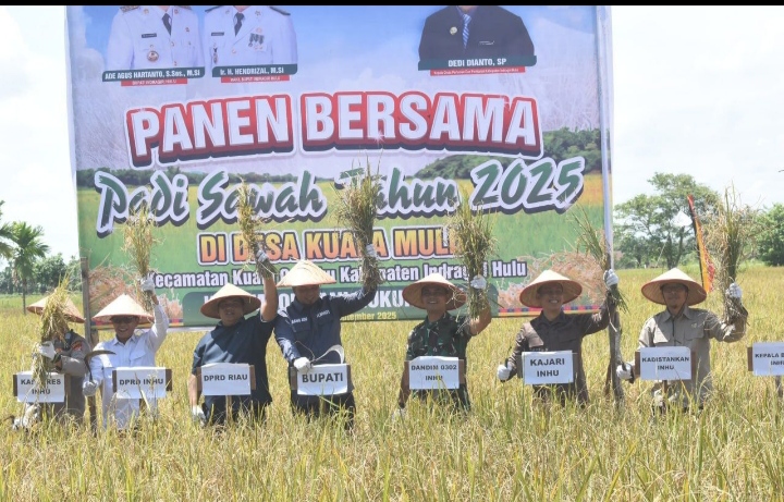 Dukung Program Pemerintah Galakan Swasembada Pangan Dandim 0302/Inhu-Kuansing Hadiri Panen Padi Bersama.