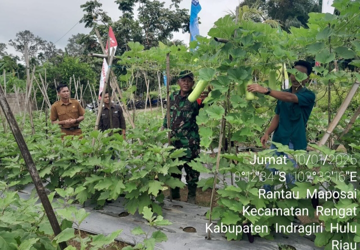 Tingkatkan Kesejahteraan Masyarakat Babinsa Berikan Motifasi Dalam Pertanian.