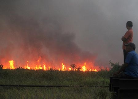 Komisi A DPRD Riau Kritik SP3 Karhutla 2015