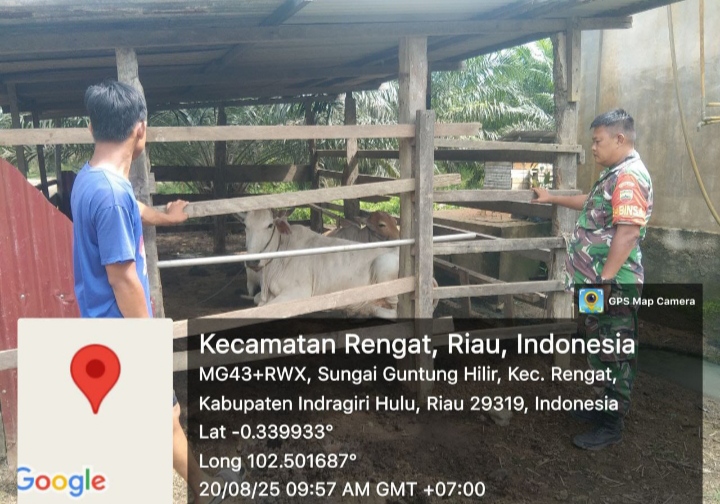 Cegah Dini Serta Antisipasi Wabah PMK, Ini Penjelasan Babinsa