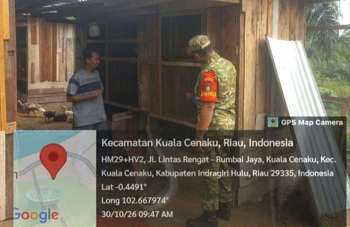 Babinsa Koramil 01/Rengat Motivasi Peternak Ayam di Kuala Cenaku