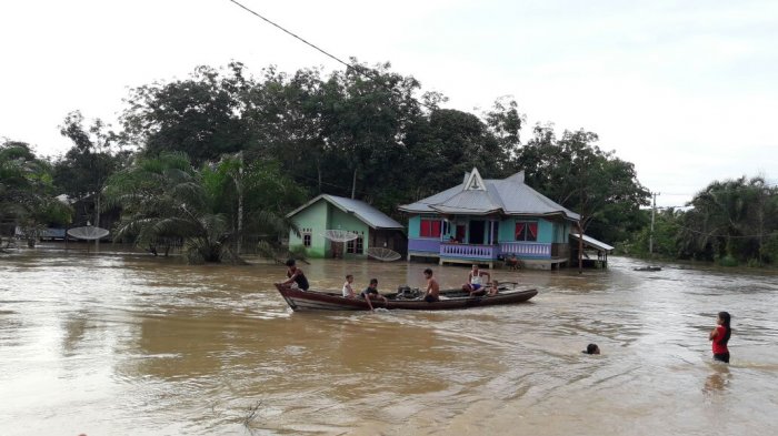 Ketinggian Air Capai 3 Meter, Banjir Lubuk Kembang Bunga Ukui Rendam 40 Rumah