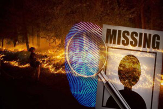 Saat Padamkan Karhutla, Anggota TNI Diduga Hilang