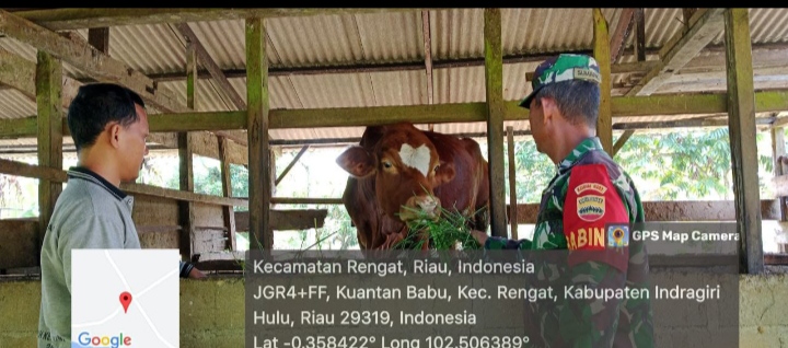 Menjelang Hari Raya Qurban Babinsa Lebih Aktif Sosialisasi Bahaya PMK