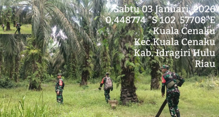 Walau Musin Penghujan Namun Babinsa Koramil 01/Rengat Tetap Rutin Patroli Karhutla Di Desa Kuala Cenaku