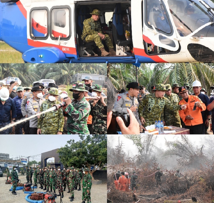 Pangdam XIX/Tuanku Tambusai dan Kapolda Riau Pantau Titik Api Karhutla di Inhu