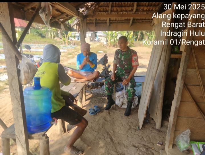 Komsos Dengan Petani, Babinsa Terus Wujudkan  Kepedulian Guna Meningkatkan Hasil Pertanian