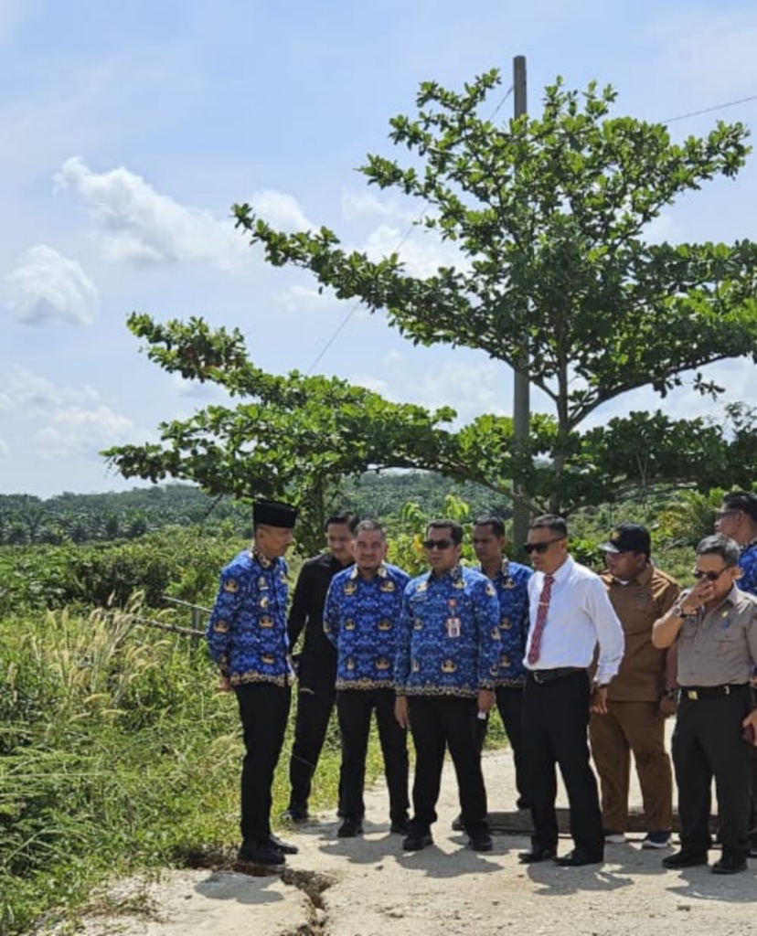 Tinjau Jembatan Ambruk Di Sentajo Raya,Pjs Bupati Bersama PUPR Dan Camat Sentajo Turun Meninjau