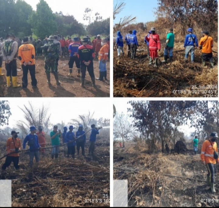 DLHK Propinsi Riau  Tinjau Langsung Ke Lokasi Kebakaran Lakukan Pemadaman Dan Pendinginan