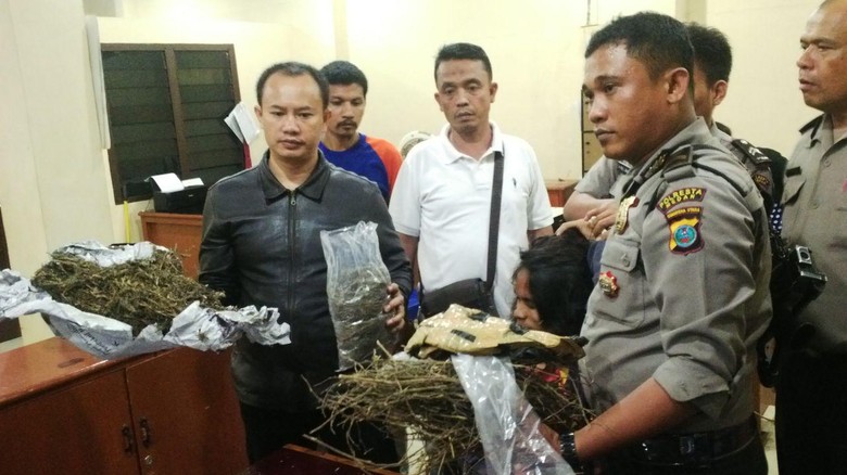 Simpan 3 Kg Ganja, Seorang Mahasiswa di Medan Dibekuk Polisi