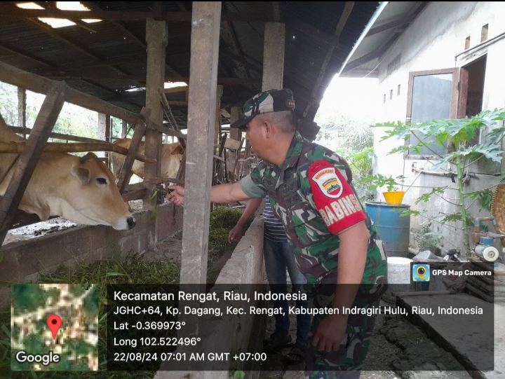 Babinsa Koramil 01/Rgt Kunjungi Peternak Lakukan Komsos Bersama Warga Binaan.