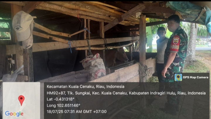 Tidak Bosan Babinsa koramil 01 Rengat Terus Himbau Agar Peternak Waspada Penyakit PMK.