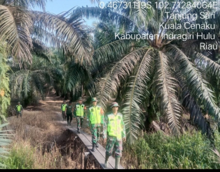 Cegah Karhutla Babinsa Koramil01/Rengat Susuri Wilayah Kec.Kuala Cenaku