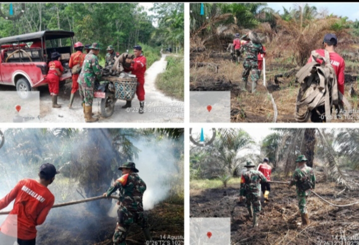 Bebas Dari Asap Karhutla Menjelang Perayaan HUT Kemerdekaan RI ke 79 Tahun 2024 Petugas Terus Berjimbaku