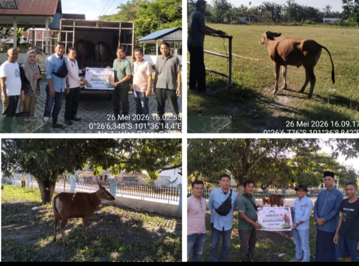 PT SBL Bantu Dua Desa Yakni Jalur Patah Dan Desa  Beringin Jaya Masing Masing Satu Ekor Hewan Qurban