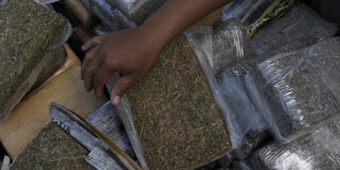 Polsek Senapelan Amankan 5,4 Kg Ganja Siap Edar