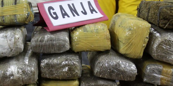 ABG Kedapatan Jual Ganja di Kampus IAIN Imam Bonjol Padang