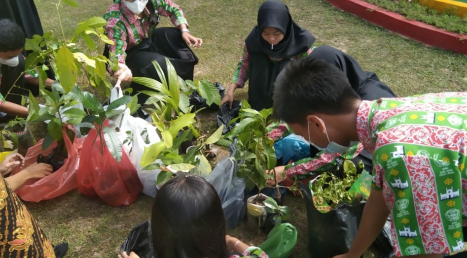 Peringati Hari Sejuta Pohon, Anak-anak OSIS SMA Negeri 1 Minas Lakukan Penanaman Pohon