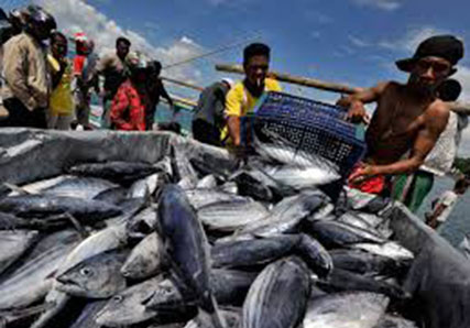 Daerah Pesisir Riau Berpotensi Budidaya Laut