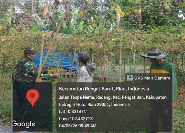 Tingkatkan Kesejahteraan Masyarakat Melalui Pertanian Babinsa Kunjungi Petani Mentimun
