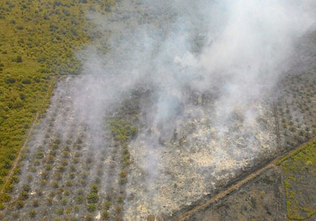 Riau Kebakaran Lahan, Langit Singapura Kembali Berasap